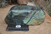 Polished Labradorite Standing Free Form With Intense Blue & Gold Flash x 1 From Tulear, Madagascar - TopRock