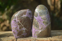 Polished Stichtite & Serpentine Standing Free Forms With Silky Purple Threads  x 3 From Barberton, South Africa - Toprock Gemstones and Minerals 