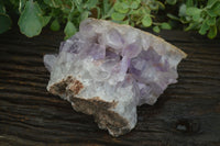 Natural Jacaranda Amethyst Cluster x 1 From Mumbwa, Zambia - TopRock