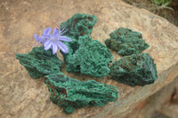 Natural Chatoyant Silky Malachite Specimens  x 6 From Kasompe, Congo - TopRock