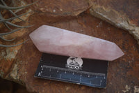 Polished Double Terminated Pink Rose Quartz Points  x 4 From Ambatondrazaka, Madagascar - TopRock