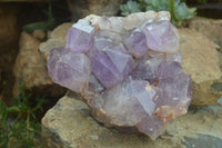 Natural Jacaranda Amethyst Cluster x 1 From Mumbwa, Zambia - TopRock