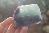 Polished One Side Polished Watermelon Fluorite Pieces  x 12 From Uis, Namibia