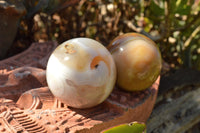 Polished Stunning Selection Of Banded Agate Spheres  x 5 From Madagascar - TopRock