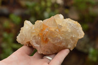 Natural Golden Limonite / Lemonite Quartz Clusters With Goethite Inclusions In Some  x 12 From Mwinilunga, Zambia - TopRock