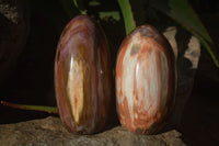 Polished Red Podocarpus Petrified Wood Standing Free Forms x 2 From Mahajanga, Madagascar