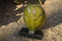 Polished Green Opal Standing Free Forms  x 3 From Madagascar