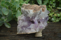 Natural Jacaranda Amethyst Cluster x 1 From Mumbwa, Zambia - TopRock