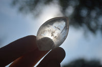 Polished Clear Quartz Angel Tears  x 24 From Madagascar - Toprock Gemstones and Minerals 