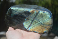 Polished Labradorite Standing Free Form With Intense Blue & Gold Flash x 1 From Tulear, Madagascar - TopRock