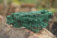 Natural Chatoyant Silky Malachite Specimens  x 6 From Kasompe, Congo - TopRock