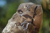 Natural Large Smokey Quartz Crystals  x 4 From Mulanje, Malawi - Toprock Gemstones and Minerals 