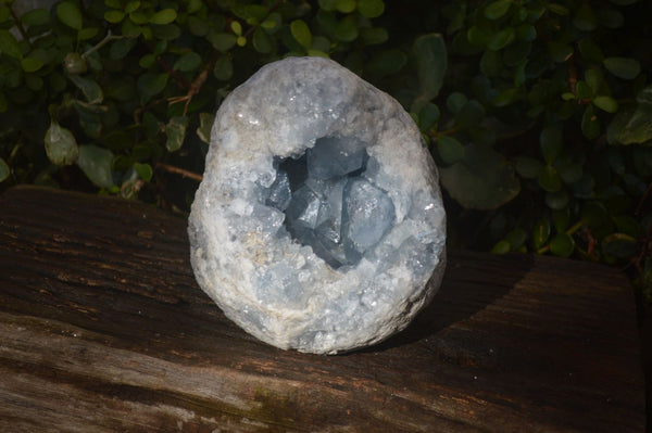 Natural Blue Celestite Geode Specimen  x 1 From Sakoany, Madagascar