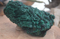 Natural Chatoyant Silky Malachite Specimen x 1 From Congo - Toprock Gemstones and Minerals 