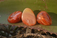 Polished  Carnelian Agate Tumble Stones  x 1 Kg Lot From Madagascar