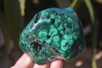 Polished Malachite Free Forms x 3 From Kolwezi, Congo