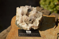 Natural Dog Tooth Calcite On Drusy Quartz Specimen x 1 From Albert's Mountain, Lesotho - TopRock