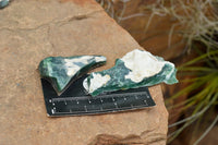 Natural Green Mtorolite / Emerald Chrysoprase Cutting Material  x 32 From Zimbabwe - TopRock