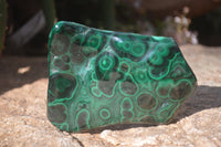 Polished Malachite Free Forms x 3 From Kolwezi, Congo