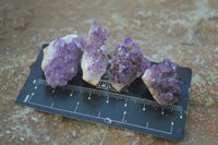 Natural Mini Dark Amethyst Crystals x 70 From Mapatizya, Zambia