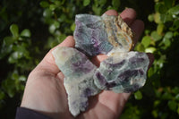 Polished One Side Polished Watermelon Fluorite Pieces  x 12 From Uis, Namibia