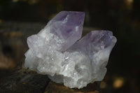 Natural Jacaranda Amethyst Clusters  x 3 From Mumbwa, Zambia - Toprock Gemstones and Minerals 