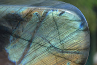 Polished Labradorite Standing Free Form With Intense Blue & Gold Flash x 1 From Tulear, Madagascar - TopRock