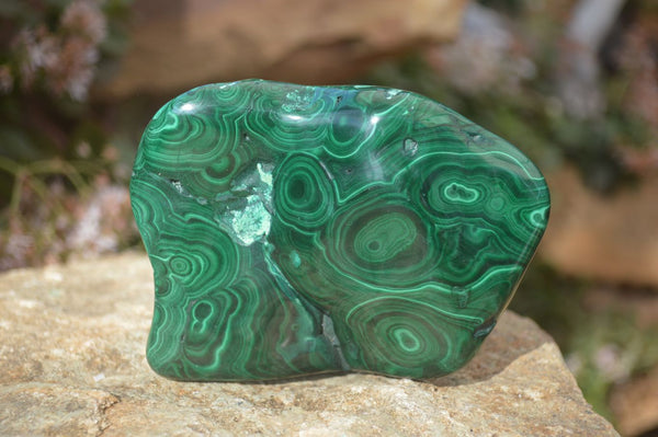 Polished Malachite Free Forms x 3 From Kolwezi, Congo