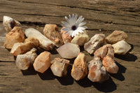 Natural Single Pineapple Quartz Crystals  x 35 From Madagascar - TopRock