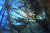 Polished Extra Large Labradorite Display Piece With Full Face Flash  x 1 From Tulear, Madagascar - Toprock Gemstones and Minerals 