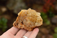 Natural Golden Limonite / Lemonite Quartz Clusters With Goethite Inclusions In Some  x 12 From Mwinilunga, Zambia - TopRock