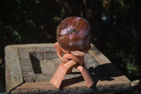 Polished Petrified Red Podocarpus Wood Sphere With Rosewood Stand x 1 From Madagascar - Toprock Gemstones and Minerals 