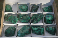 Polished Flower Banded Malachite Free Forms  x 12 From Congo - Toprock Gemstones and Minerals 