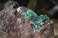 Natural Stunning Drusy Quartz Coated Malachite Dolomite Specimen x 1 From Likasi, Congo - Toprock Gemstones and Minerals 