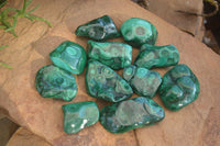 Polished Flower Banded Malachite Free Forms  x 12 From Congo - Toprock Gemstones and Minerals 