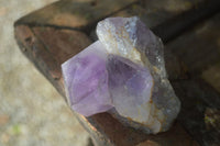 Natural Jacaranda Amethyst Clusters  x 3 From Mumbwa, Zambia - Toprock Gemstones and Minerals 