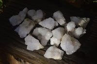 Natural White Cactus Flower Spirit Quartz Specimens x 12 From Boekenhouthoek, South Africa