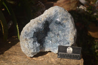 Natural Large Blue Celestite Geode Specimen  x 1 From Sakoany, Madagascar