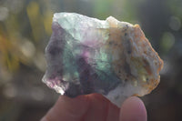 Polished One Side Polished Watermelon Fluorite Pieces  x 12 From Uis, Namibia