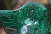 Polished Malachite Free Forms x 3 From Kolwezi, Congo