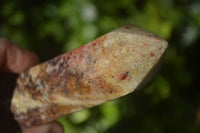 Polished Red Quartz Points From Ocean Jasper Deposit  x 6 From Madagascar