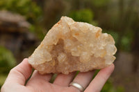 Natural Golden Limonite / Lemonite Quartz Clusters With Goethite Inclusions In Some  x 12 From Mwinilunga, Zambia - TopRock