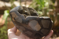 Polished Septaria Dragons Egg x 1 From Mahajanga, Madagascar - TopRock