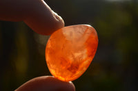 Polished  Carnelian Agate Tumble Stones  x 1 Kg Lot From Madagascar