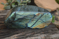 Polished Labradorite Standing Free Form With Intense Blue & Gold Flash x 1 From Tulear, Madagascar - TopRock