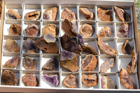 Natural Small Amethyst & Basalt Geode Specimens  x 35 From Zululand, South Africa - TopRock