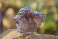 Natural Window Amethyst Crystal Specimens  x 12 From Chiredzi, Zimbabwe