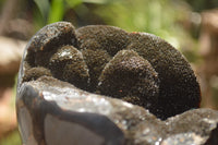 Polished Septaria Dragons Egg x 1 From Mahajanga, Madagascar - TopRock