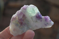 Polished One Side Polished Watermelon Fluorite Pieces  x 12 From Uis, Namibia