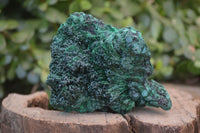 Natural Malachite Specimens x 3 From Congo